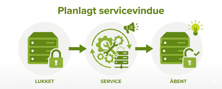 Servicevindue